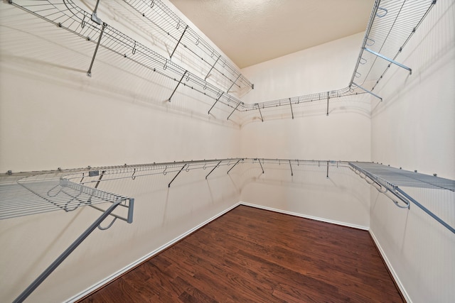 7234 Rambling Tree Ln, Richmond, TX 77407 - walk in closet with dark wood-style flooring