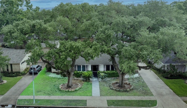 exterior space featuring a front yard and concrete driveway