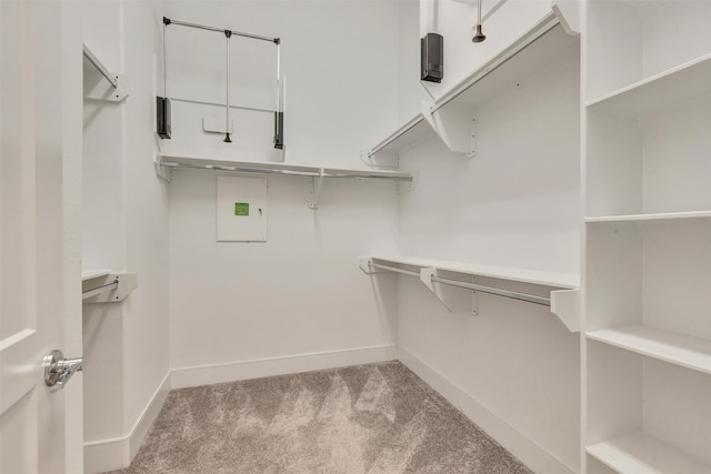 spacious closet with carpet floors
