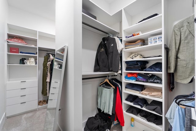 spacious closet with carpet