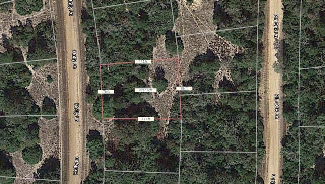 LOT16 Holly Ln, Normangee, TX 77871