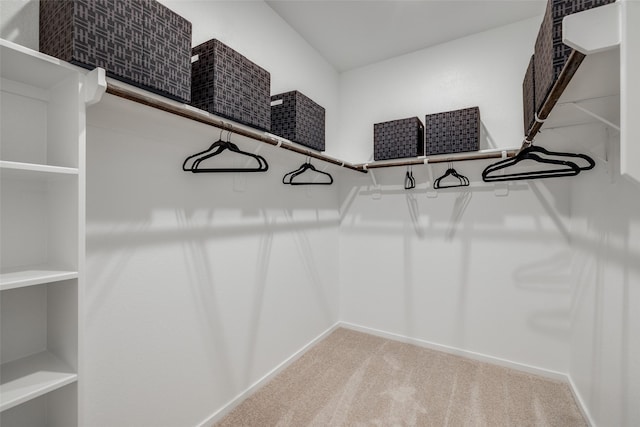 406 Robin St, Angleton, TX 77515 - spacious closet with carpet floors