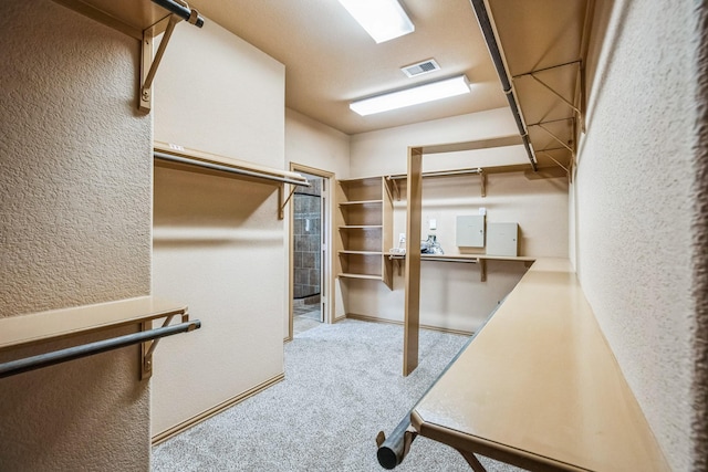 spacious closet featuring carpet flooring, electric panel, and visible vents