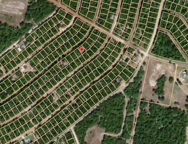LOT37 Plum Ln, Normangee, TX 77871