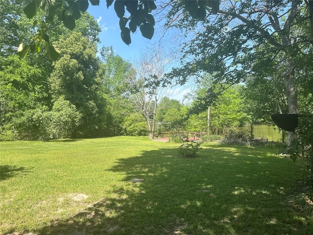 381 Lakeshore Dr, Cleveland, TX 77327 - view of yard