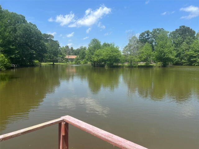 381 Lakeshore Dr, Cleveland, TX 77327 - view of water feature