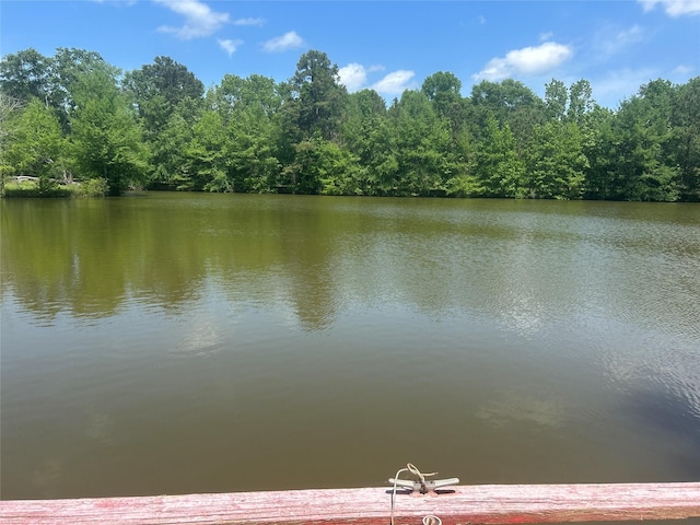 381 Lakeshore Dr, Cleveland, TX 77327 - view of water feature featuring a forest view