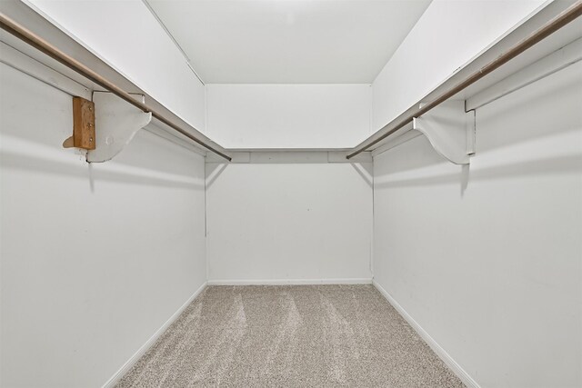 walk in closet featuring carpet flooring