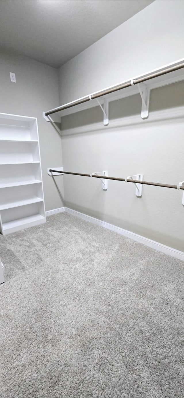 2711 Wollemi Pine Trl, Katy, TX 77493 - spacious closet with carpet floors