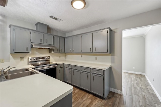 1117 Meadowland Dr, Beaumont, TX 77706 - kitchen featuring a sink, visible vents, gray cabinetry, under cabinet range hood, and electric stove