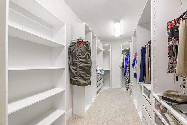 spacious closet with carpet flooring