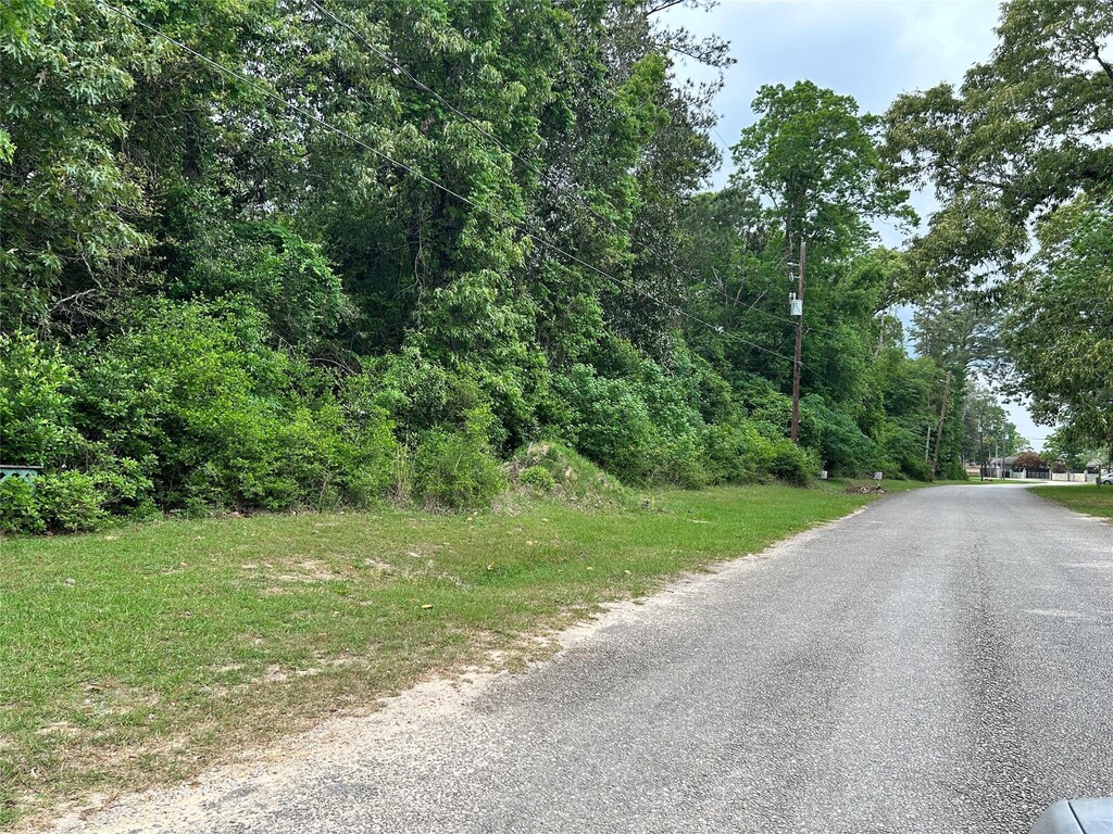 LOT10 Hornbeam Dr, Village Mills, TX 77663 - photo 1