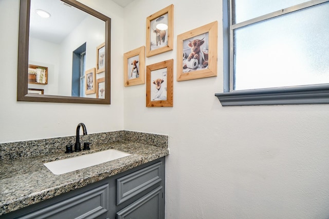 bathroom featuring a wealth of natural light and vanity