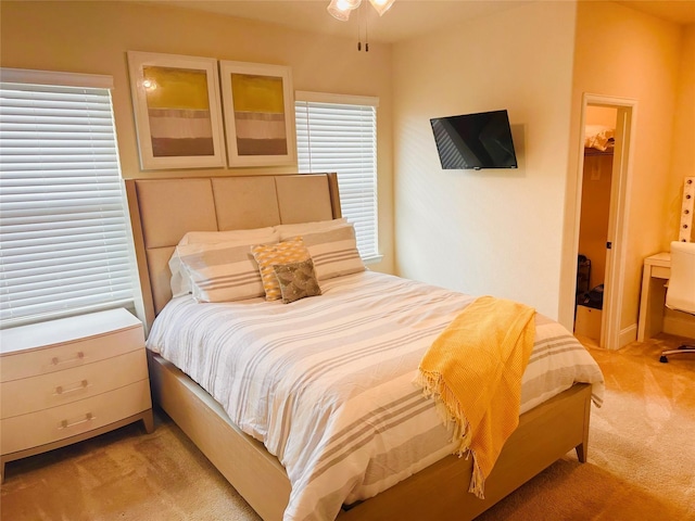 bedroom with a walk in closet, a closet, and light colored carpet