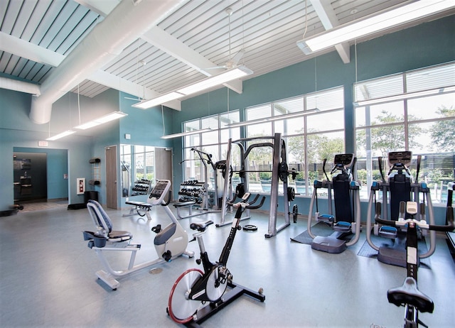 workout area featuring a high ceiling