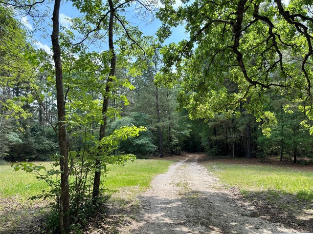 7481 County Road 232, Richards, TX 77873