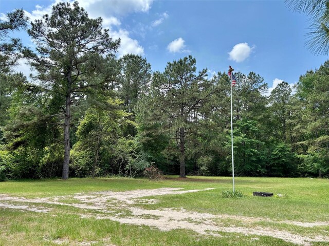 7481 County Road 232, Richards, TX 77873