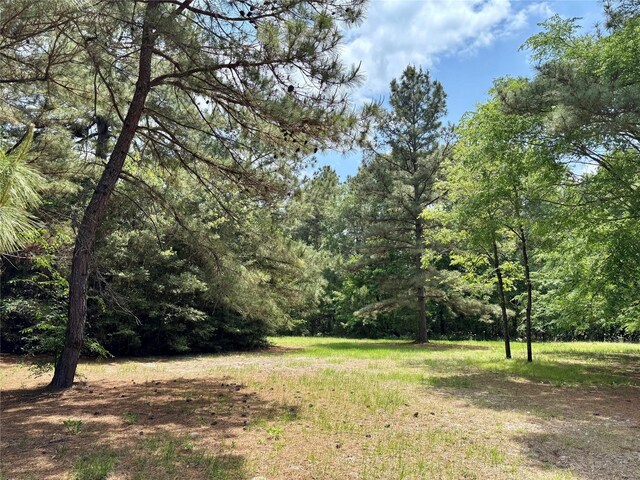 7481 County Road 232, Richards, TX 77873