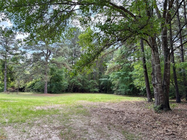 7481 County Road 232, Richards, TX 77873