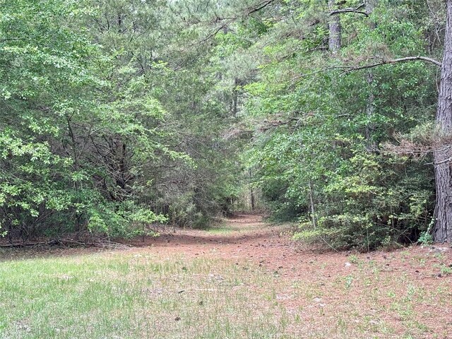 7481 County Road 232, Richards, TX 77873