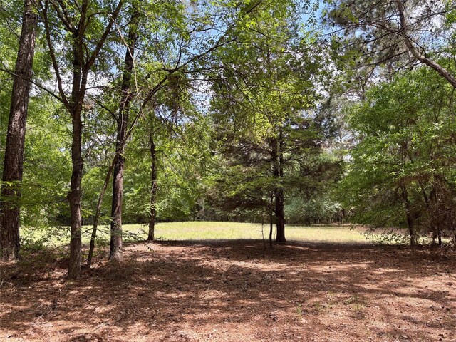 7481 County Road 232, Richards, TX 77873