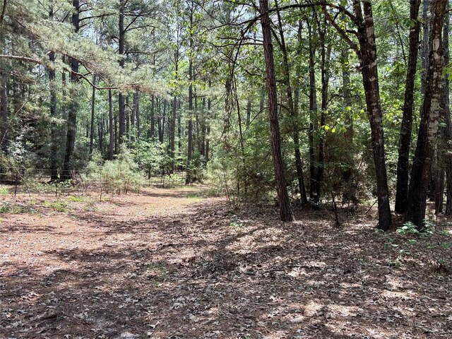 7481 County Road 232, Richards, TX 77873