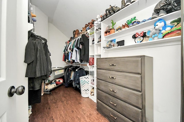 spacious closet with vaulted ceiling and dark wood-style floors