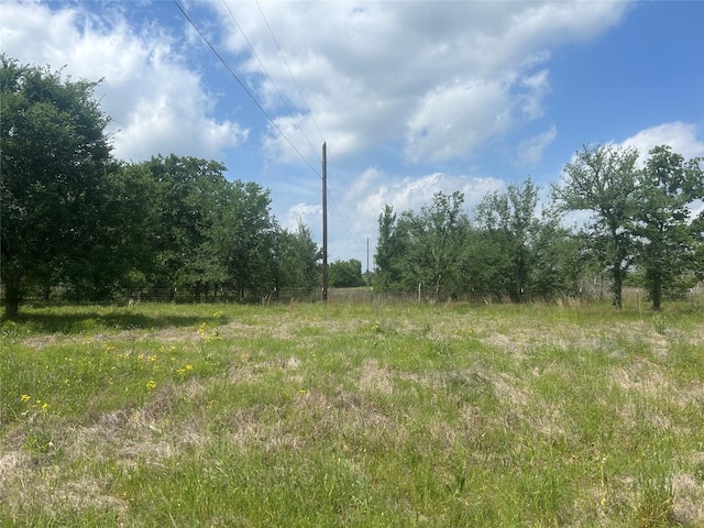 view of local wilderness