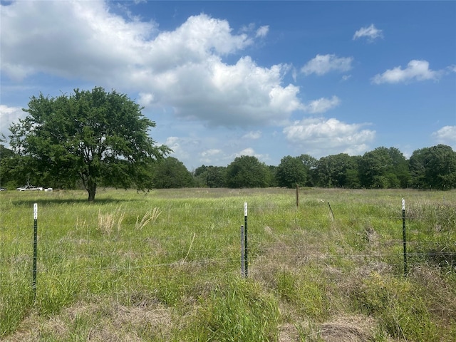 view of yard with a rural view