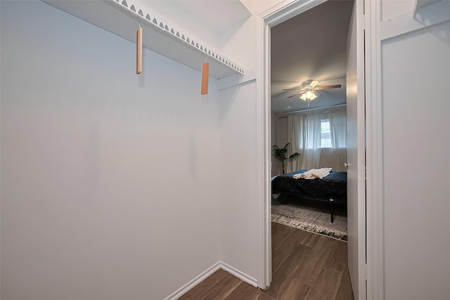 859 Wax Myrtle Ln, Houston, TX 77079 - walk in closet with ceiling fan and dark wood finished floors
