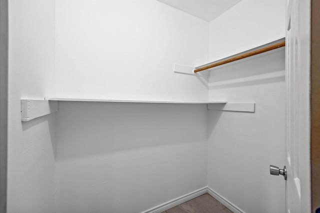 walk in closet featuring wood finished floors