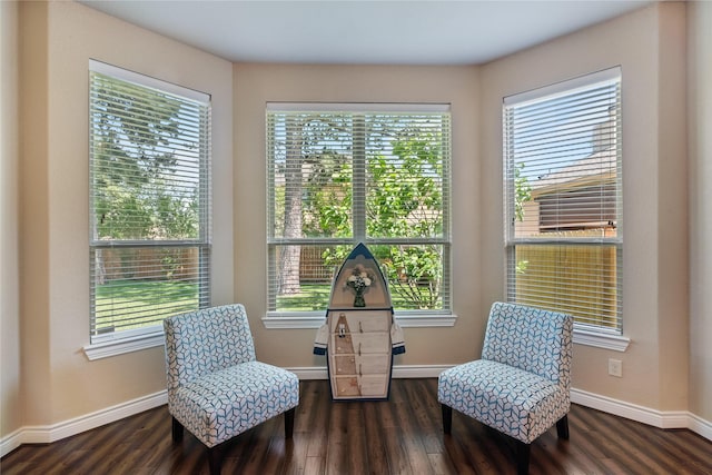 living area featuring baseboards and dark wood-style floors