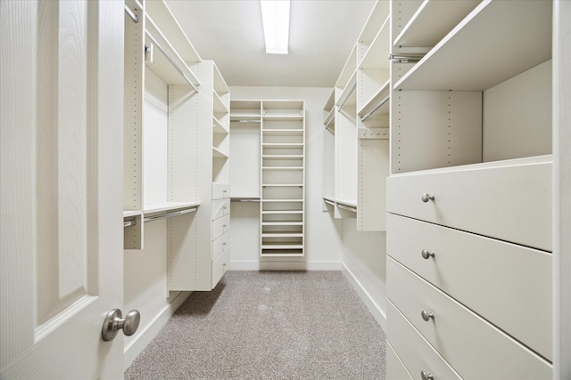 spacious closet featuring carpet floors