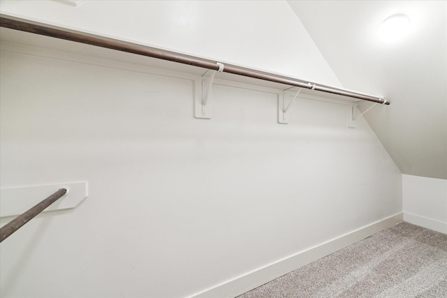 walk in closet with carpet flooring