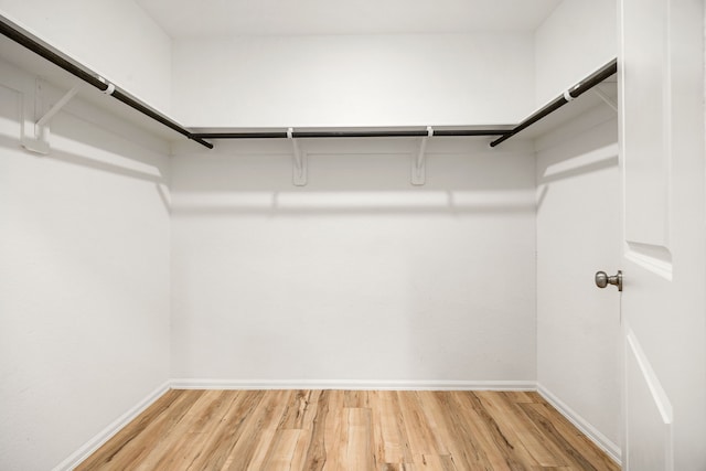 walk in closet with light wood-type flooring