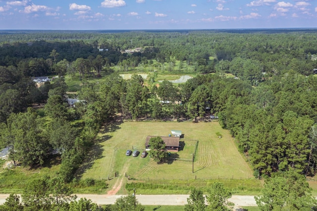 271 Woodman Dr, Cleveland, TX 77328 - aerial view with a view of trees