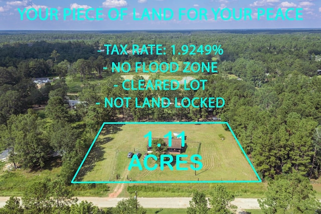 271 Woodman Dr, Cleveland, TX 77328 - bird's eye view featuring a forest view