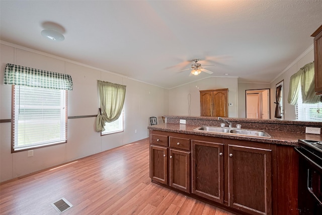 kitchen featuring visible vents, a sink, light wood-style floors, and ornamental molding
