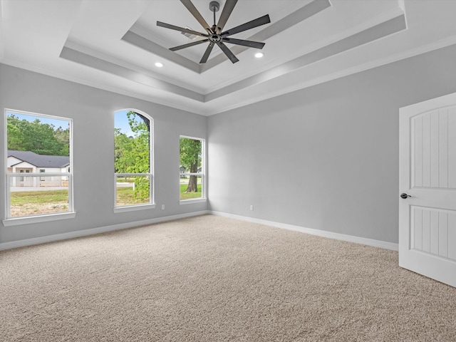 549 Rd 660, Dayton, TX 77535 - empty room featuring baseboards, ornamental molding, carpet flooring, and a tray ceiling