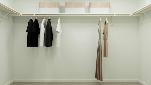 view of spacious closet