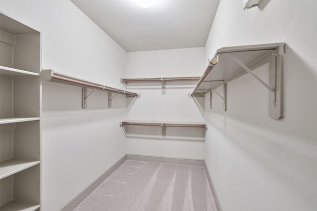 walk in closet featuring carpet floors