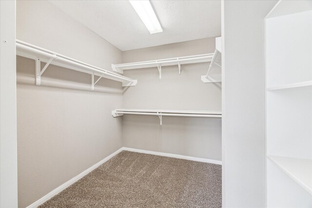 11235 Stoney Meadow Dr, Houston, TX 77095 - photo 15