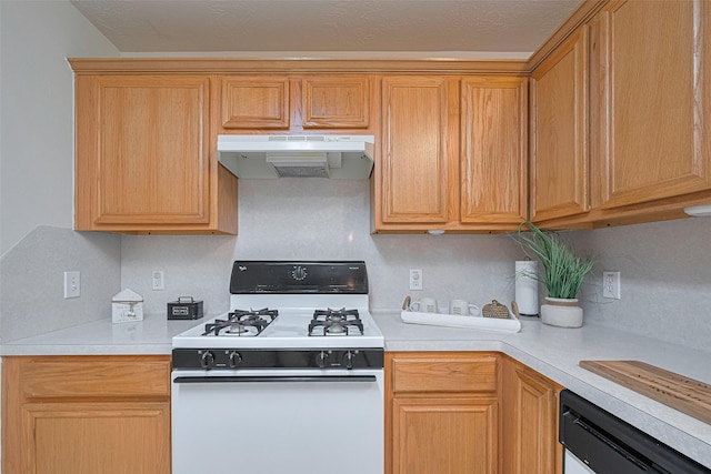 215 Pebble Canyon Ln, Dickinson, TX 77539 - kitchen with gas range gas stove, under cabinet range hood, light countertops, and dishwasher