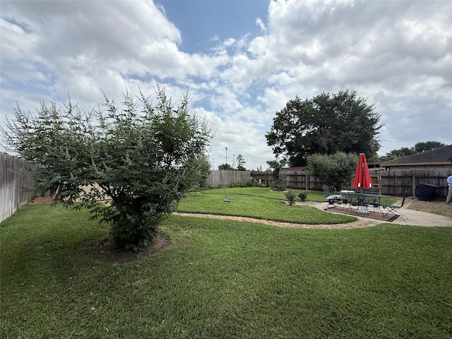 view of yard featuring a fenced backyard and a patio area