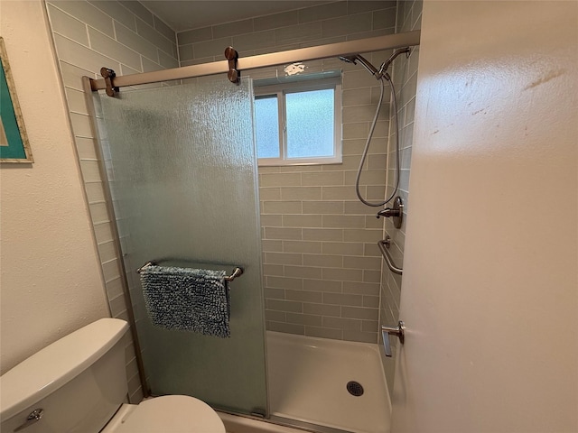 full bathroom with toilet and a stall shower