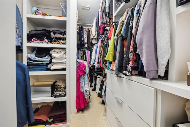 2842 Briarhurst Park, Houston, TX 77057 - spacious closet featuring carpet flooring