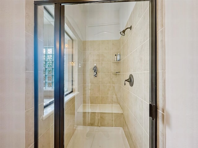 full bathroom featuring a shower stall