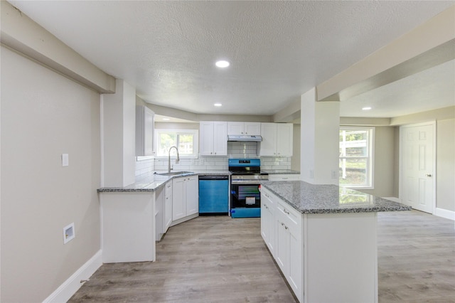 kitchen featuring a sink, dishwasher, backsplash, under cabinet range hood, and stainless steel gas range oven