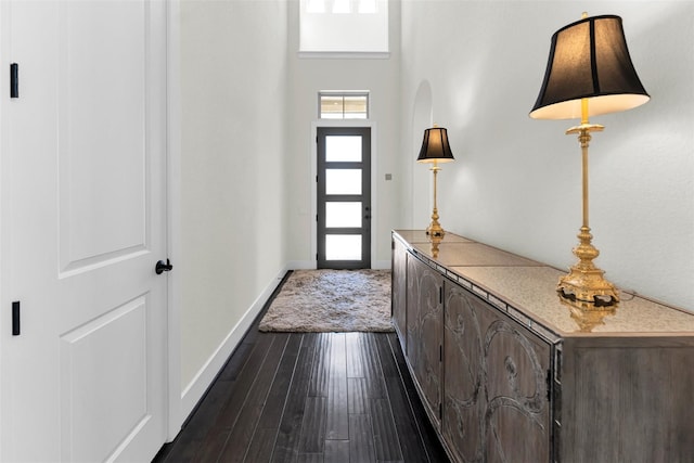 111 Vetch Park Ct, Montgomery, TX 77316 - foyer with dark wood-style floors, baseboards, and a high ceiling