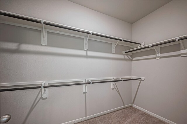 walk in closet with light carpet